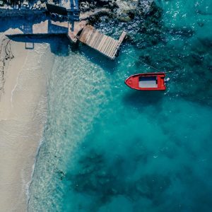 polina rytova s8mekj9iut8 unsplash